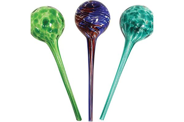 plant watering globes
